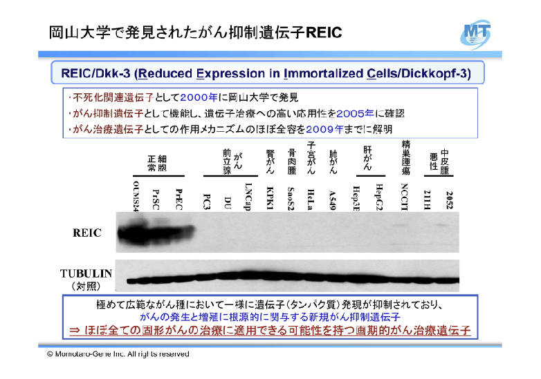 岡山大学で発見されたがん抑制遺伝子REIC