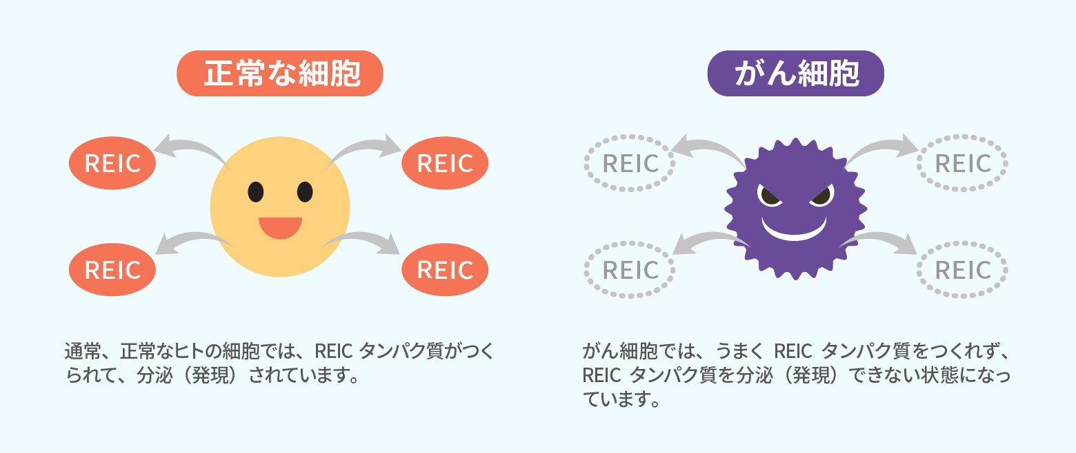 正常細胞とがん細胞の違い