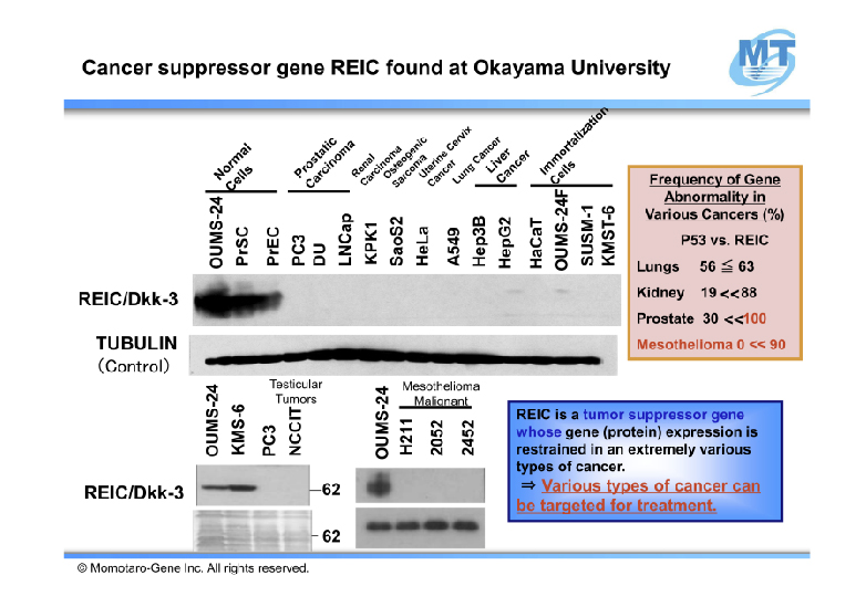 Cancer suppressor gene REIC found at Okayama University